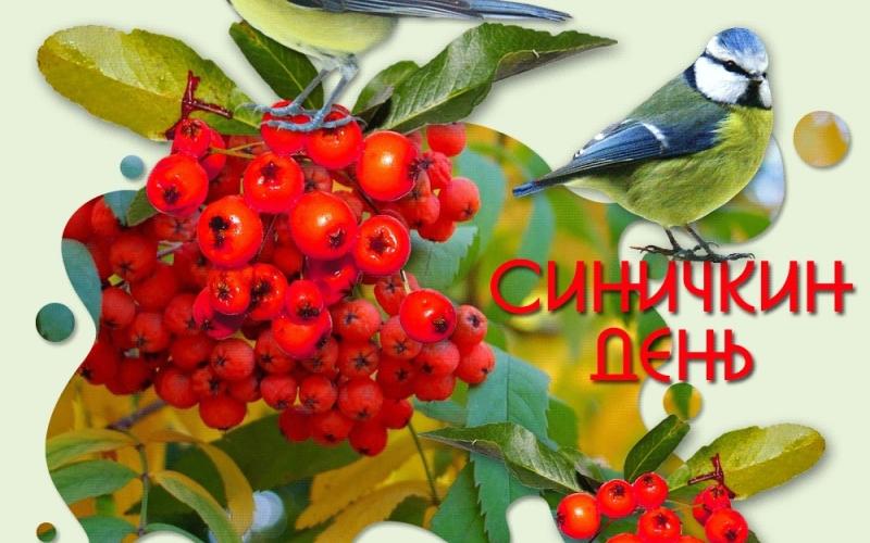 Синичкин день